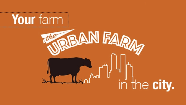 The Urban Farm Fun Activities