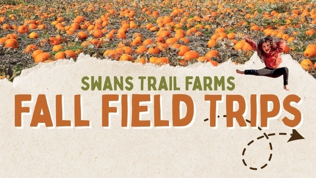 Swans Trail Farms Family Dining